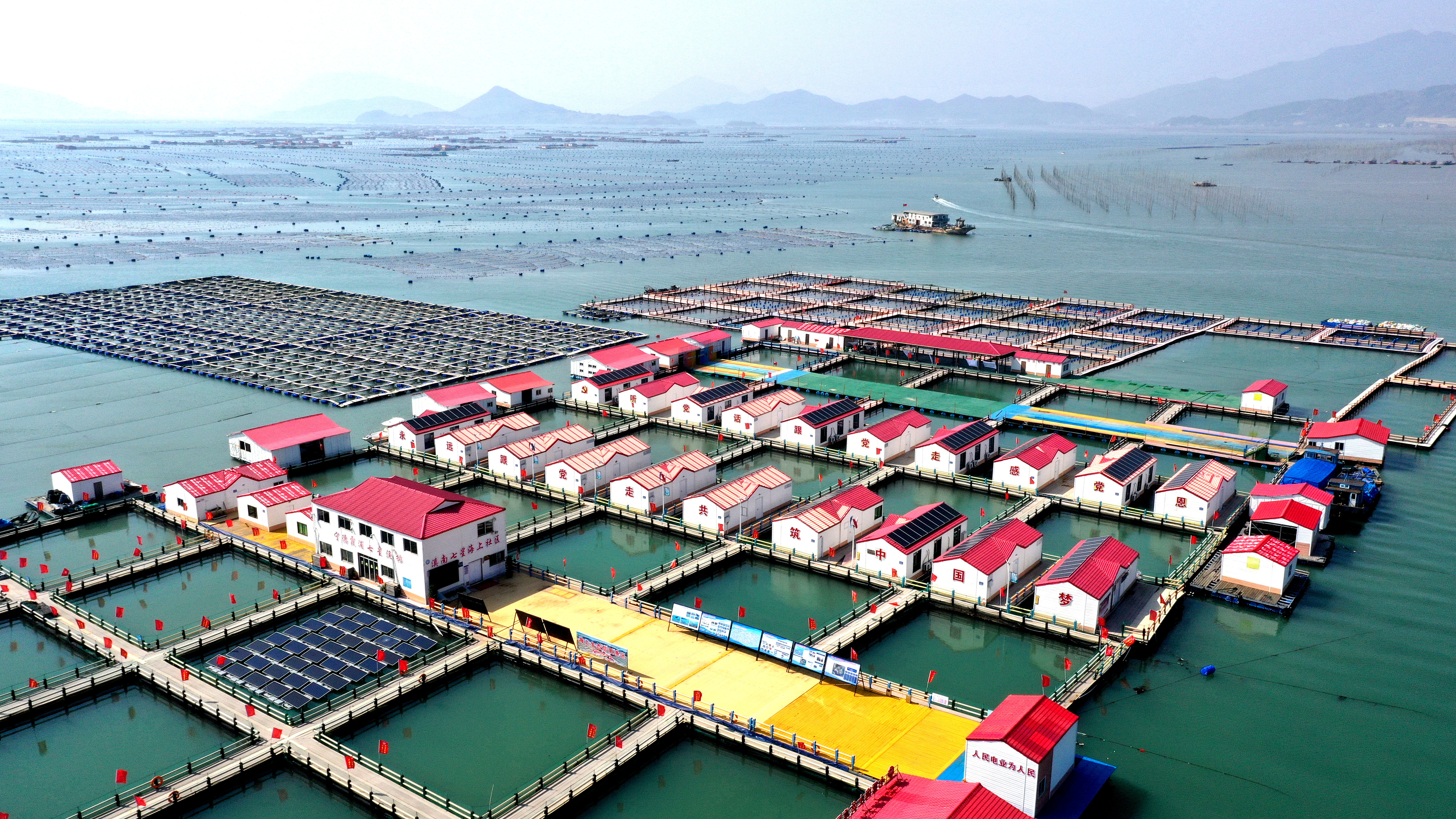2024年3月20日，福建省寧德市，霞浦縣溪南鎮(zhèn)七星村漁排養(yǎng)殖示范區(qū)，漁民駕駛養(yǎng)殖船進(jìn)行海參養(yǎng)殖作業(yè)。