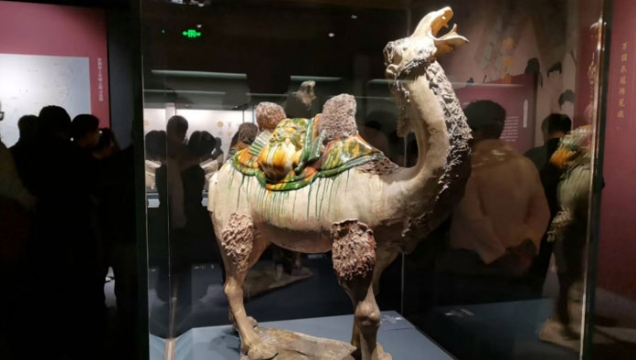 “周秦漢唐文物大展”在福建博物院開(kāi)展
