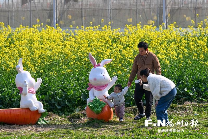 福州百花盛開，“賞花經(jīng)濟”如何持久綻放？